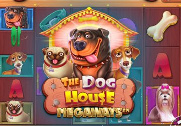 NOVOMATIC - игровой автомат онлайн от Various с RTP 95.47%